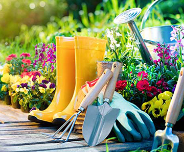 Home & Garden